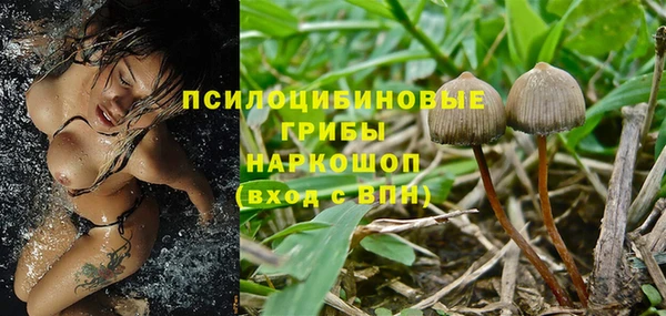 прущие крисы Магадан