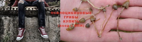 каннабис Магас