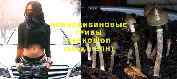 прущие крисы Магадан