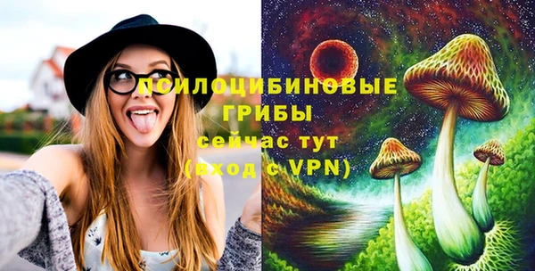 прущие крисы Магадан