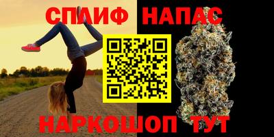 a pvp Свободный