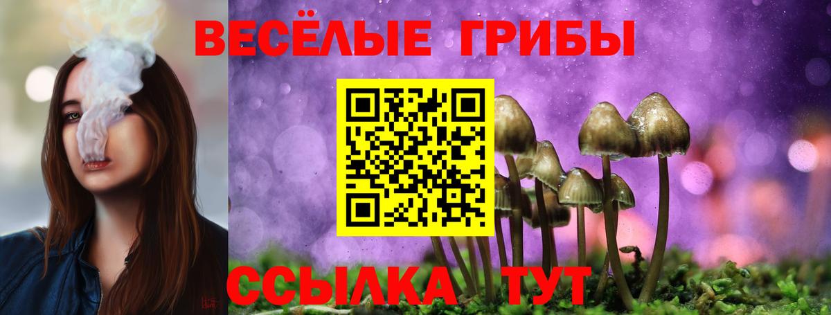Псилоцибиновые грибы мухоморы  Вход с VPN  Аксай 